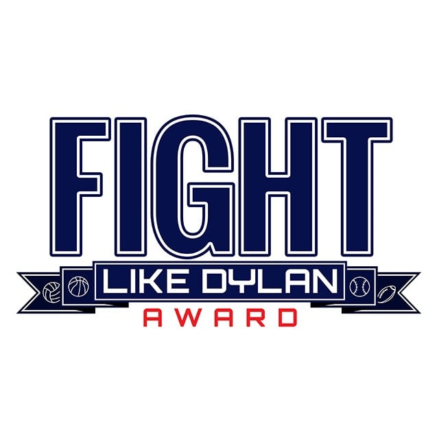 Fight Like Dylan